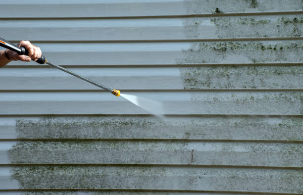 Best Pressure Washing Driveway  in Massanetta Springs, VA